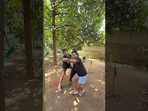 Tebang pohon tercepat