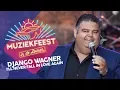 Lagu Django Wagner - I'll never fall in love again | Muziekfeest in de Zomer