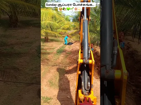 💫💥இவ்வளவு நாள் பக்கத்துல இருந்து பாத்தது இல்லைங்க 😒🌱💚🏡|sunday village girl life style vlog #shorts