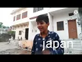 Japan,America,india accident