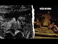 Download Lagu Wet Bed Gang - Visão Noturna