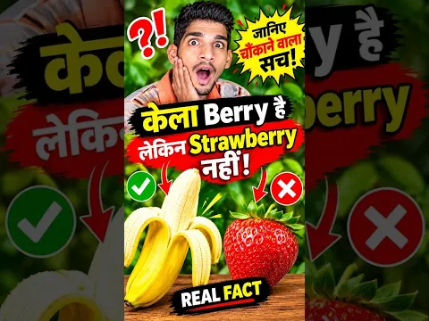 🔥 केला Berry है, लेकिन Strawberry नहीं! 😱 जानिए चौंकाने वाला सच.TrainYourBrain