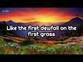Cat Stevens - Morning Has Broken (Lyrics)