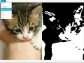 JavaFX Software Image Editor