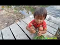 Download Lagu SENYUM GEMBIRA PAK KAMTO ULAT SUDAH BISA DI ATASI KEMBALI TANAMAN DAUN BAWANG 
