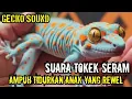 Download Lagu SUARA TOKEK YG KERAS SERAM,  SUARA TOKEK PENGANTAR TIDUR, SUARA TOKEK ASLI, GECKO SOUND