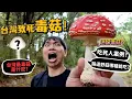 Download Lagu 【從零開始養】台灣致死毒菇!10種毒菇介紹!毒菇路邊有?第二高山大雪山尋毒菇?迷幻?拉肚子?路邊野菇能吃嗎?【許伯簡芝】