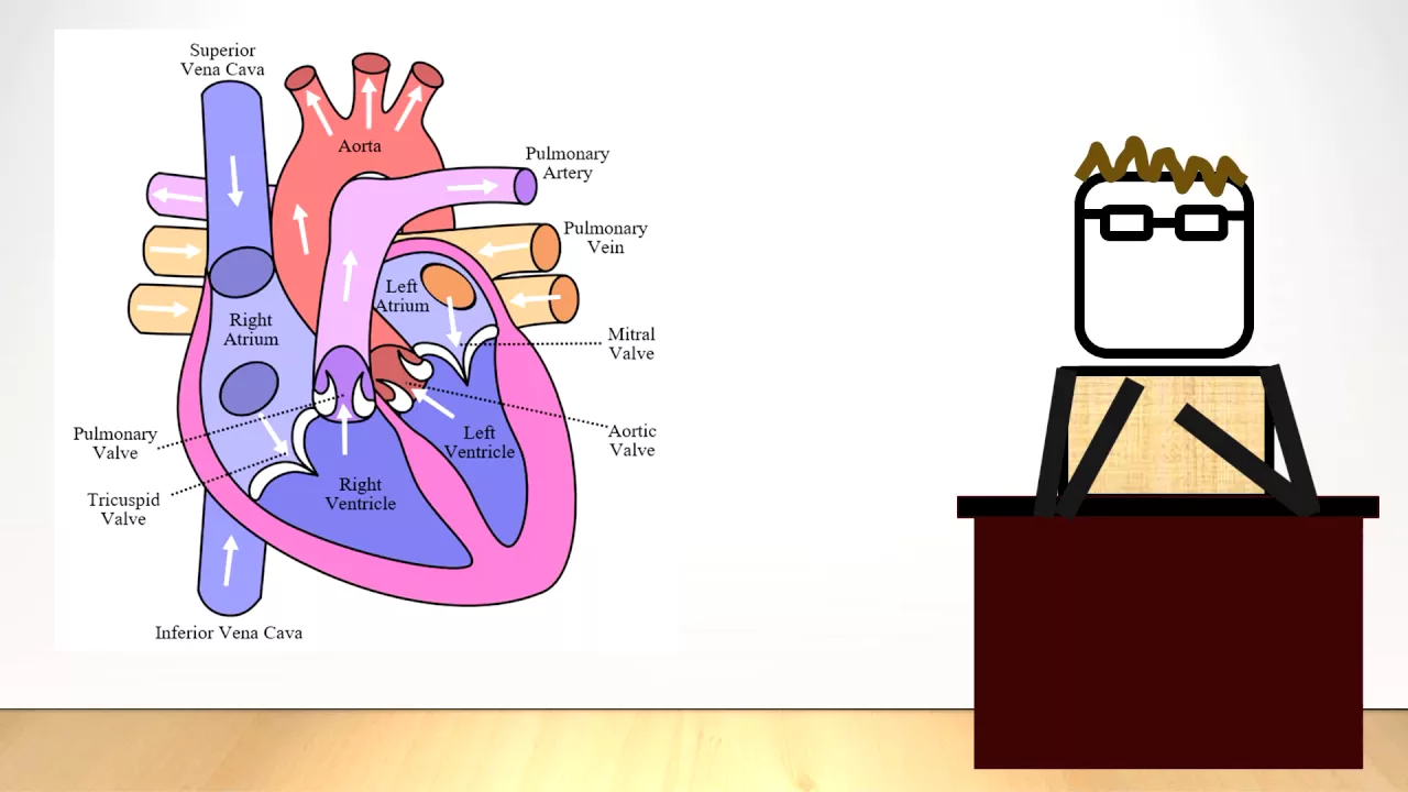 A Basic Introduction to Mechanical Ventilation: Chapter 2.4 - Consquences of Ventilation