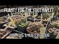 Plants for the Southwest Nursery Cactus Shopping Employee-Only Lithops House Tour Tucson AZ