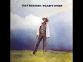 Country Blues #1 - Taj Mahal