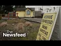 Brothers that own bikini barista chains sued over wage theft and sexual harassment The Newsfeed