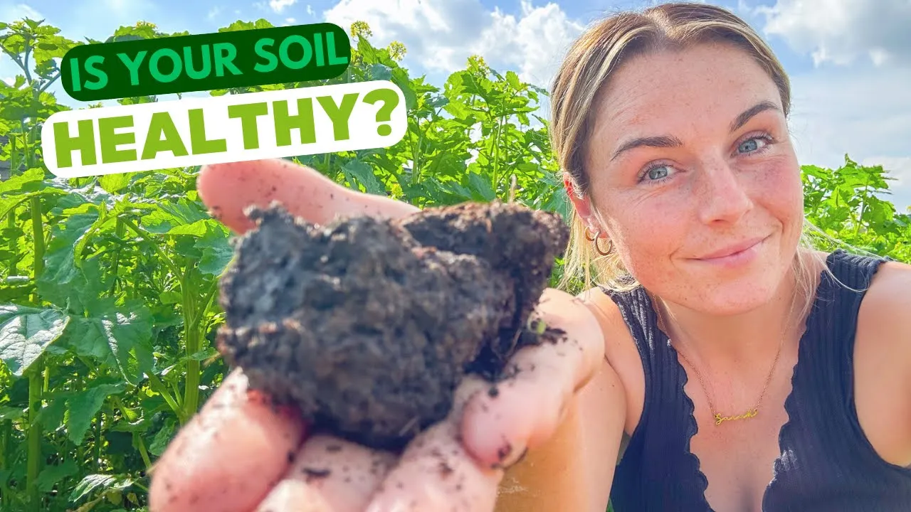 How to test Soil & Plant Health {For Disease & Pest Resistant Plants!}