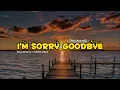 Download Lagu I'm Sorry Goodbye - Krisdayanti (Lirik Lagu + cover)