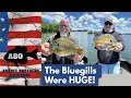 ABO We Tried a New Lake AMAZING Results