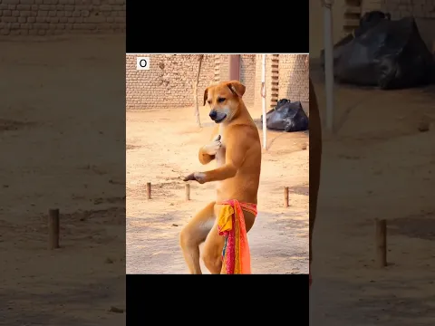 Dogesh Bhai के कारनामे 🤣