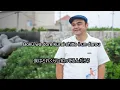島人ぬ宝  Shimanchu nu takara  BEGIN en Romaji Full HD