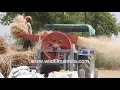 Separating wheat from the chaff - threshing machine in action