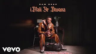 sam deep nomfundo moh sipho magudulela taximan visualizer