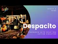 Despacito - (Cover by Saung Angklung Udjo)