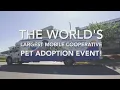 Major pet adoption event tours through Shreveport and Marshall