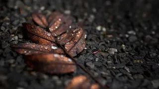 5 ساعات متواصلة من السكينة والطمأنينة بصوت الجوهره الكونية شريف مصطفى ارح قلبك بالقرآن الكريم 