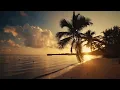 Millionaire Muses - Evening Bliss