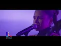 NECTAR WOODE - "Good vibrations" en live session