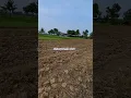 Download Lagu kita usahakan menjadi yg lebih baik ..#shorts #petani