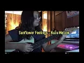 Download Lagu Sunflower Feelings - Kuzu Mellow (Cover)