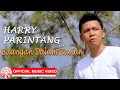 Lagu Harry Parintang - Baangan Dalam Rasian [Official Music Video HD]