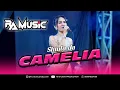 CAMELIA - SHINTADA | RA MUSIC | LIVE SUMURPANDAN - GAYAM 8 OKTOBER 2025