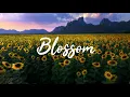 LAKEY INSPIRED - Blossom