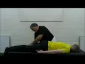 LFIAA Li Style Lishi Chinese Push Pull Bodywork Massage 2
