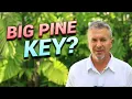 The HONEST Truth About Living in Big Pine Key Florida