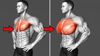5 Chest Exercises for Serious Size — Build a Bigger Chest Naturally