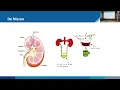 Download Lagu De stand van zaken van de diagnose en behandeling van C3G