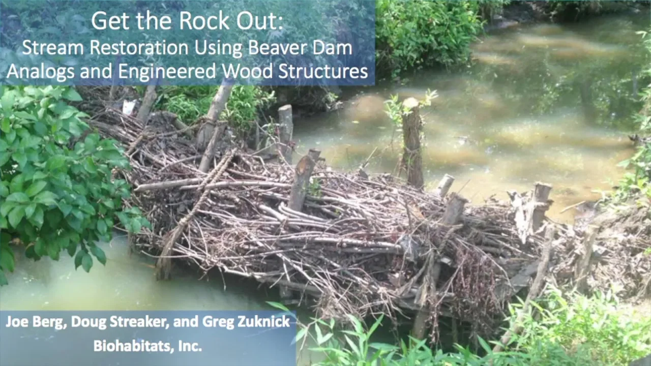 2019 Watershed Congress Beaver Dam stream restoration methods