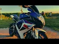BONQ - MANIFESTO (wavephonk/night drive)