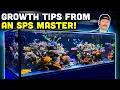 Taking a Look at Reef Expert s SPS Garden Tips for Success