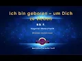 Download Lagu Nik P  -  Geboren um dich zu lieben (Karaoke Version)