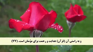 020 جزء ۲۰ ترجمه تصویری و گفتاری قرآن کریم با تلاوت مشاری راشد العفاسی