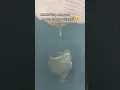 No more crusty socks