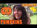 Pumped About Progress In The Pumpkin Patch