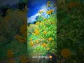 Download Lagu Vanam idi idikka🌹🥰🌾✌️❤️@ patta shombu