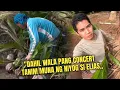 Download Lagu Update dahil wala pang concert nagtanim muna ng niyog si elias kasama ang kanyang papa ang sipag oh!