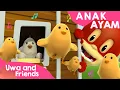 Download Lagu Anak Ayam - Lagu Binatang Lucu - Induk Ayam Petok Petok