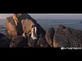 Dryhope - Folds ~ Lofi Calm & Relaxed Music | Study, Work, Sleep &Meditation, Chill #lofi #chillhop