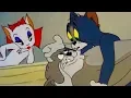 Download Lagu Tom And Jerry English Episodes - Solid Serenade - Cartoons For KidsHD 2019