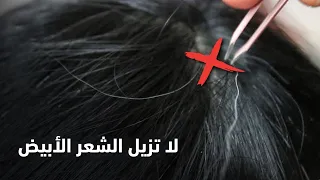 لماذا نهانا الرسول ﷺ عن إزالة الشعر الأبيض من الرأس   دندنها