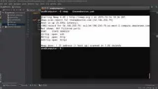 Python Website Scanner Tutorial - 4